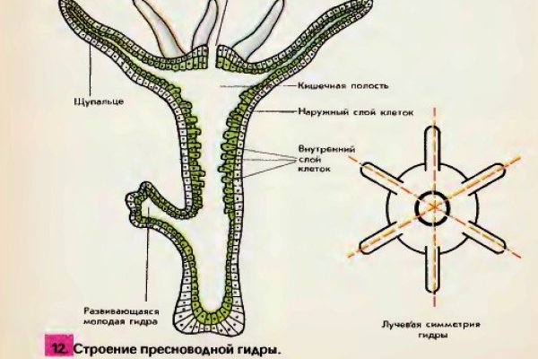 Кракен дарк ссылка