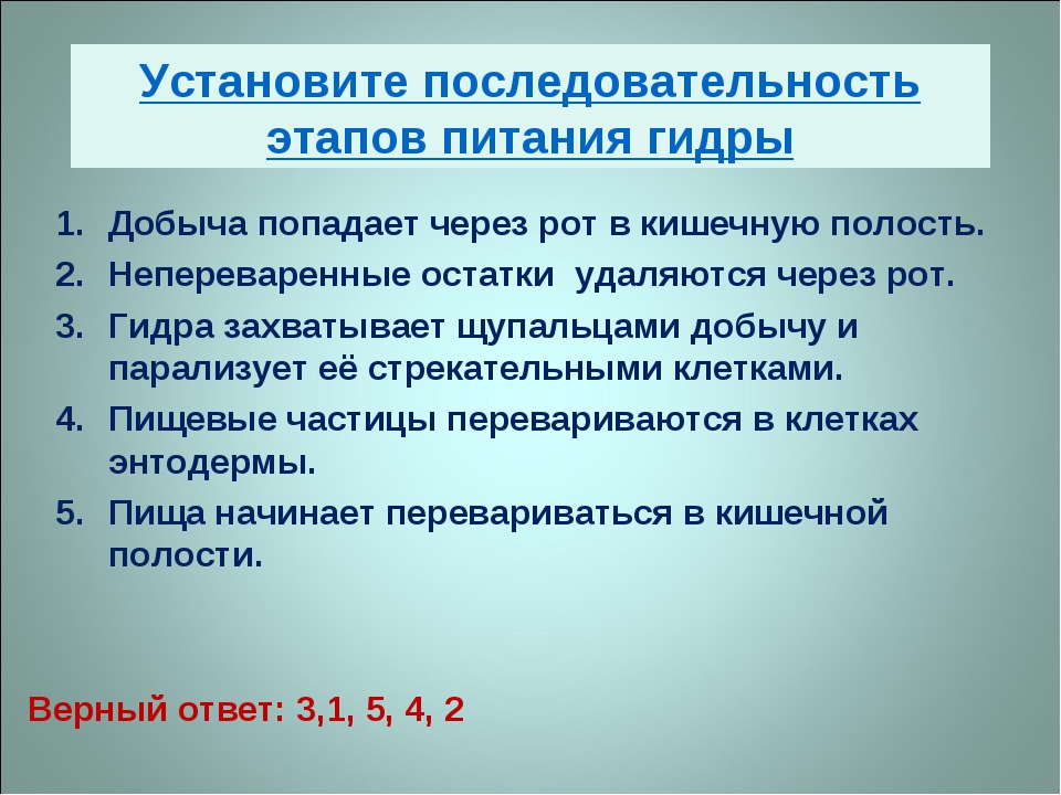 Кракен без тора